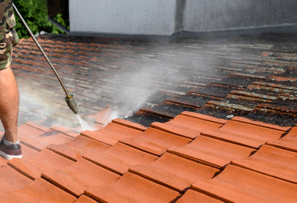 Best Pressure Washing Company Near Me  in Gunnison, CO
