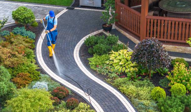 Best Deck Pressure Washing  in Gunnison, CO